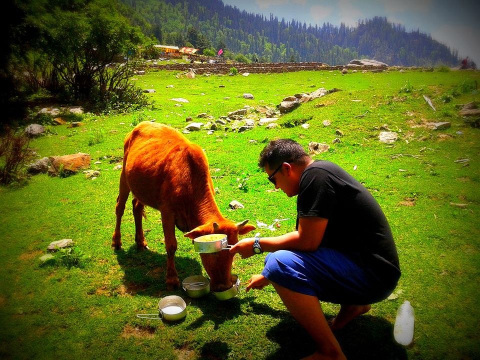 Photo of Glassy eyes Kasol 7/7 by Manash Mahanta