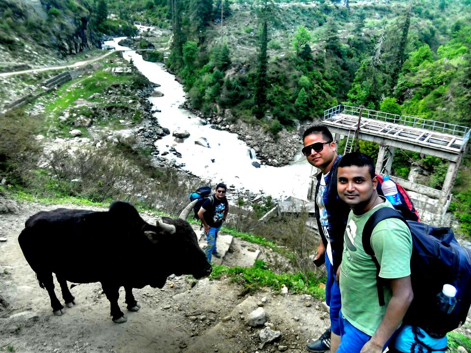 Photo of Glassy eyes Kasol by Manash Mahanta