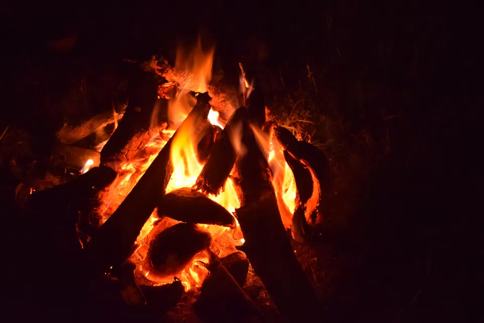 Photo of Madikeri, Karnataka, India by Nishma Khetia