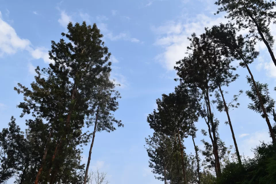 Photo of Madikeri, Karnataka, India by Nishma Khetia