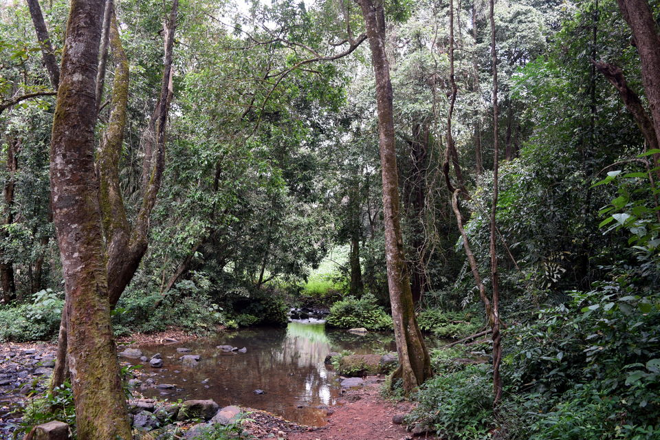Photo of Lost In The Forest With No Network: Exploring Yana Caves by Nishma Khetia