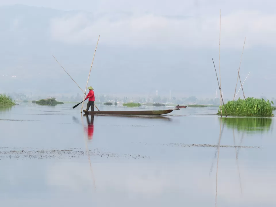 Photo of Loktak lake, Manipur by Jayanta Kar
