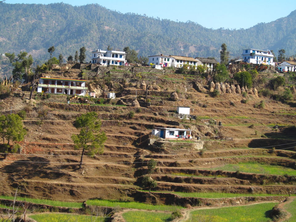 Photo of Binsar: The Unexplored Hills 14/19 by Mehvish Asif