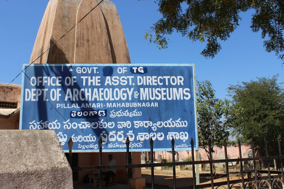Photo of Pillala Marri (Banyan Tree) – 800 years and counting! 2/18 by Jagadeesh Aarya