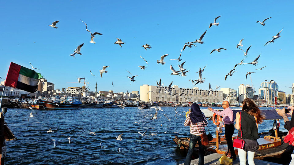 Photo of 14 irresistible images of Dubai that makes you go WOW! 14/15 by Neha Singh