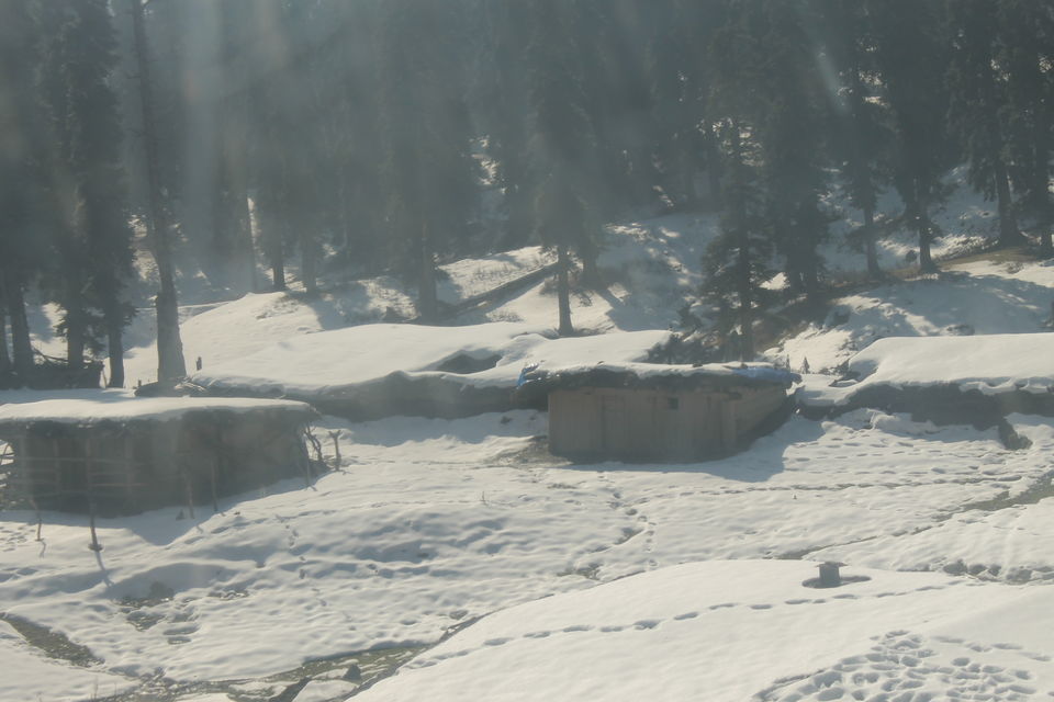 Photo of GULMARG- THE DIVINE BEAUTY 1/6 by Swetha Rajagopal Anand