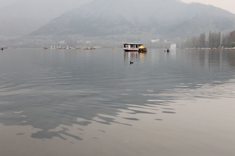 Photo of Enjoy the serenity of Dal Lake-Srinagar. Chupke se sun, is pal ki dhun 3/10 by Swetha Rajagopal Anand