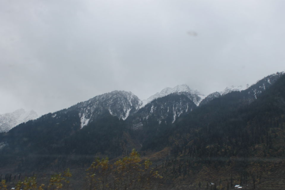 Photo of Sonmarg- The mesmerising Thajiwas Glacier 1/19 by Swetha Rajagopal Anand