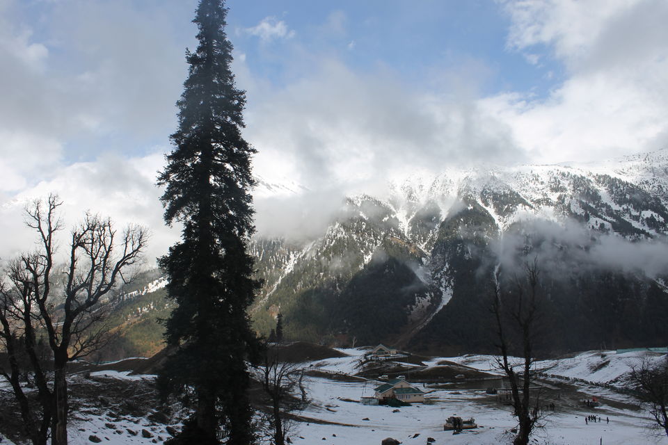 Photo of Sonmarg- The mesmerising Thajiwas Glacier 3/19 by Swetha Rajagopal Anand