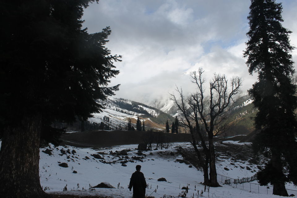 Photo of Sonmarg- The mesmerising Thajiwas Glacier 4/19 by Swetha Rajagopal Anand