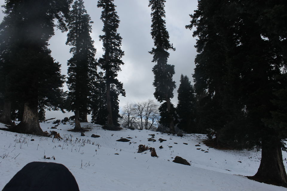 Photo of Sonmarg- The mesmerising Thajiwas Glacier 5/19 by Swetha Rajagopal Anand