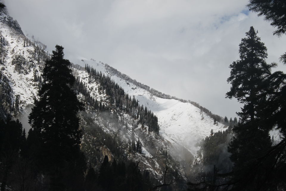 Photo of Sonmarg- The mesmerising Thajiwas Glacier 7/19 by Swetha Rajagopal Anand