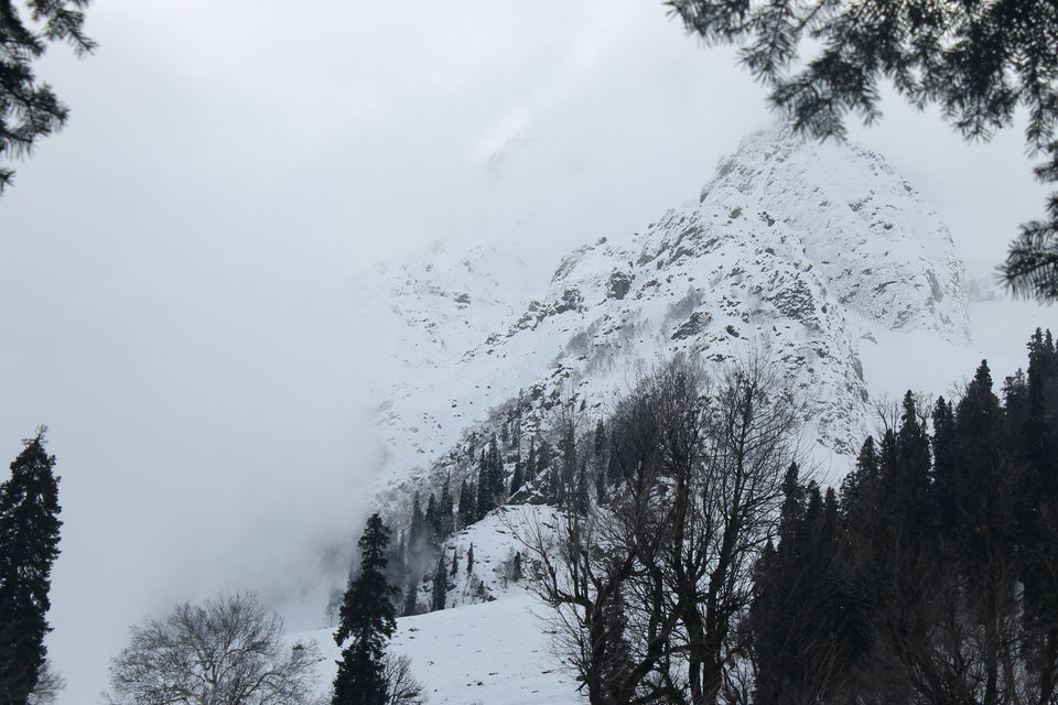 Photo of Sonmarg- The mesmerising Thajiwas Glacier 8/19 by Swetha Rajagopal Anand