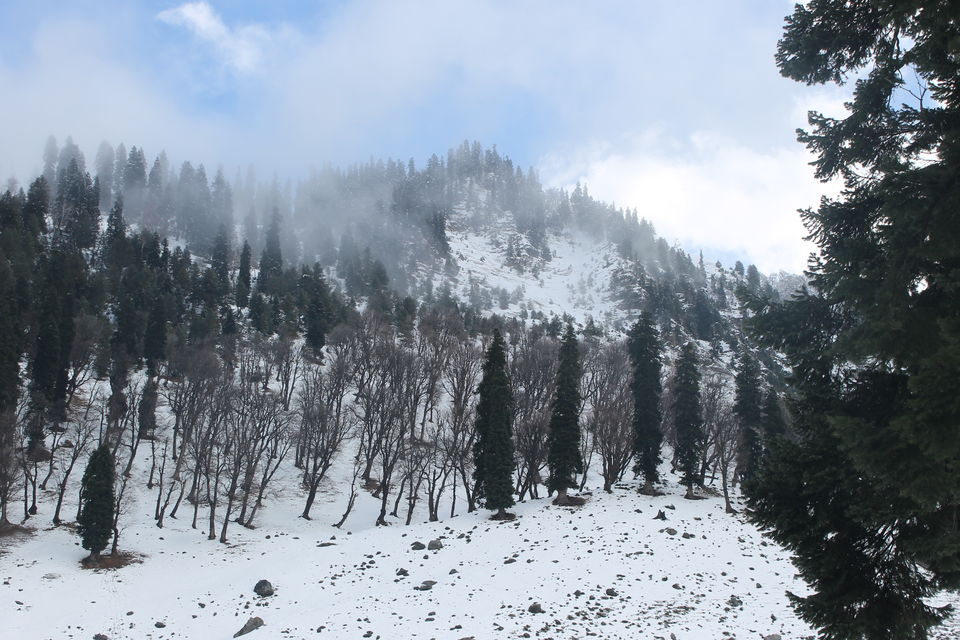 Photo of Sonmarg- The mesmerising Thajiwas Glacier 10/19 by Swetha Rajagopal Anand