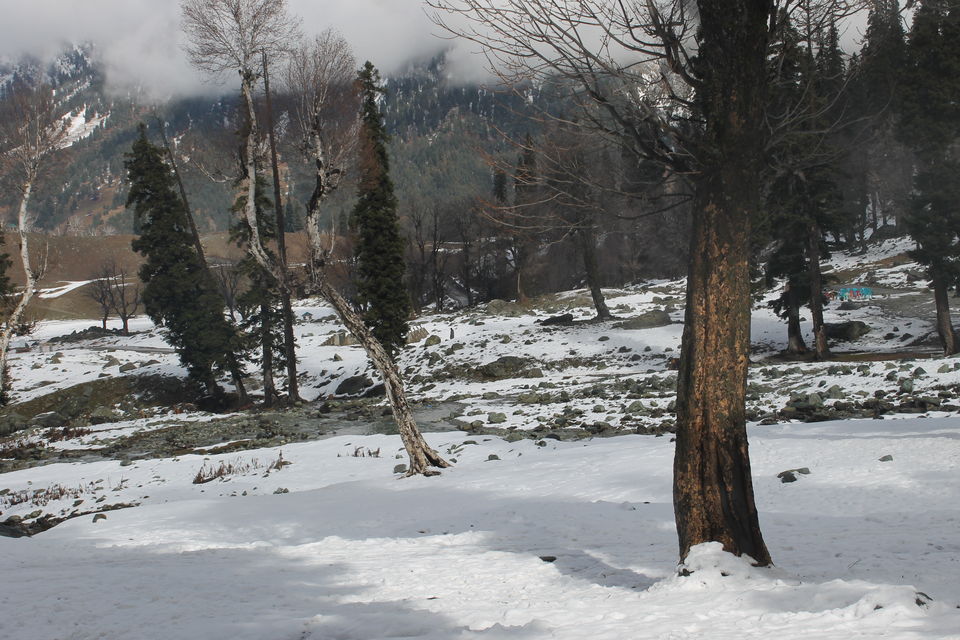 Photo of Sonmarg- The mesmerising Thajiwas Glacier 11/19 by Swetha Rajagopal Anand