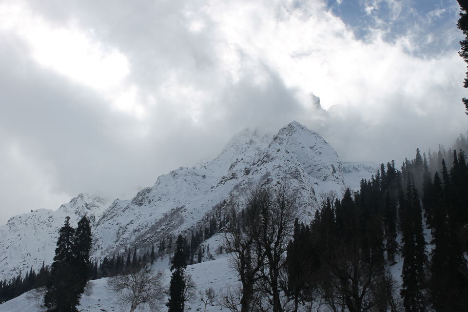 Photo of Sonmarg- The mesmerising Thajiwas Glacier 12/19 by Swetha Rajagopal Anand