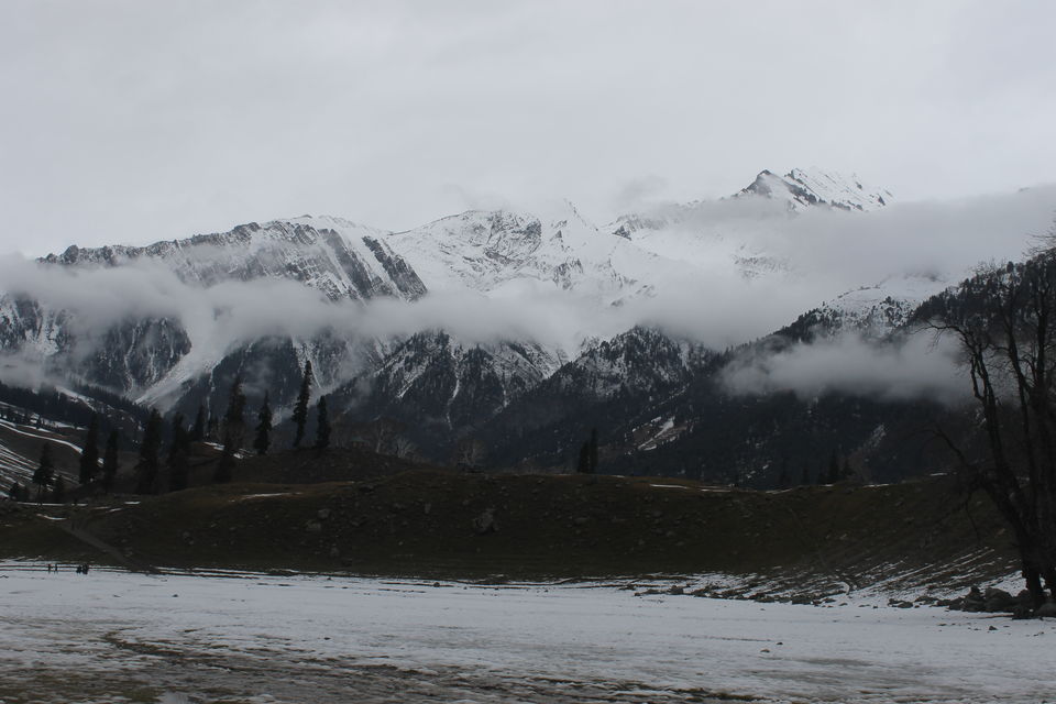 Photo of Sonmarg- The mesmerising Thajiwas Glacier 13/19 by Swetha Rajagopal Anand