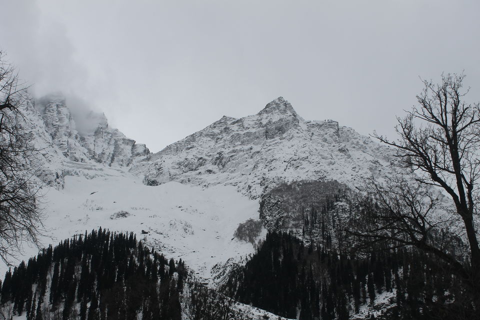 Photo of Sonmarg- The mesmerising Thajiwas Glacier 14/19 by Swetha Rajagopal Anand
