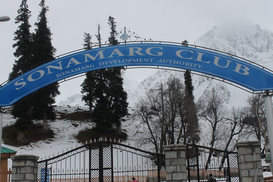 Photo of Sonmarg- The mesmerising Thajiwas Glacier 15/19 by Swetha Rajagopal Anand