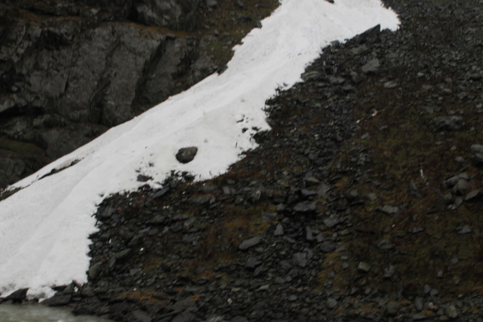 Photo of Sonmarg- The mesmerising Thajiwas Glacier 16/19 by Swetha Rajagopal Anand