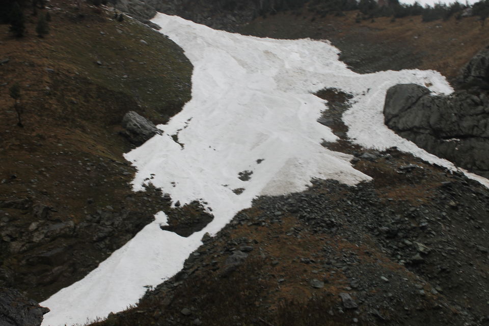 Photo of Sonmarg- The mesmerising Thajiwas Glacier 17/19 by Swetha Rajagopal Anand