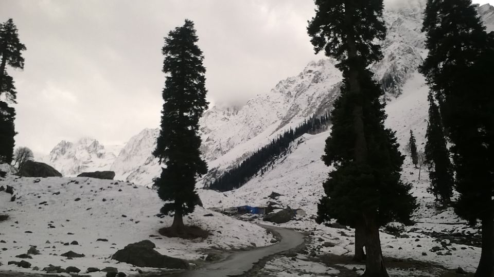 Photo of Sonmarg- The mesmerising Thajiwas Glacier 19/19 by Swetha Rajagopal Anand