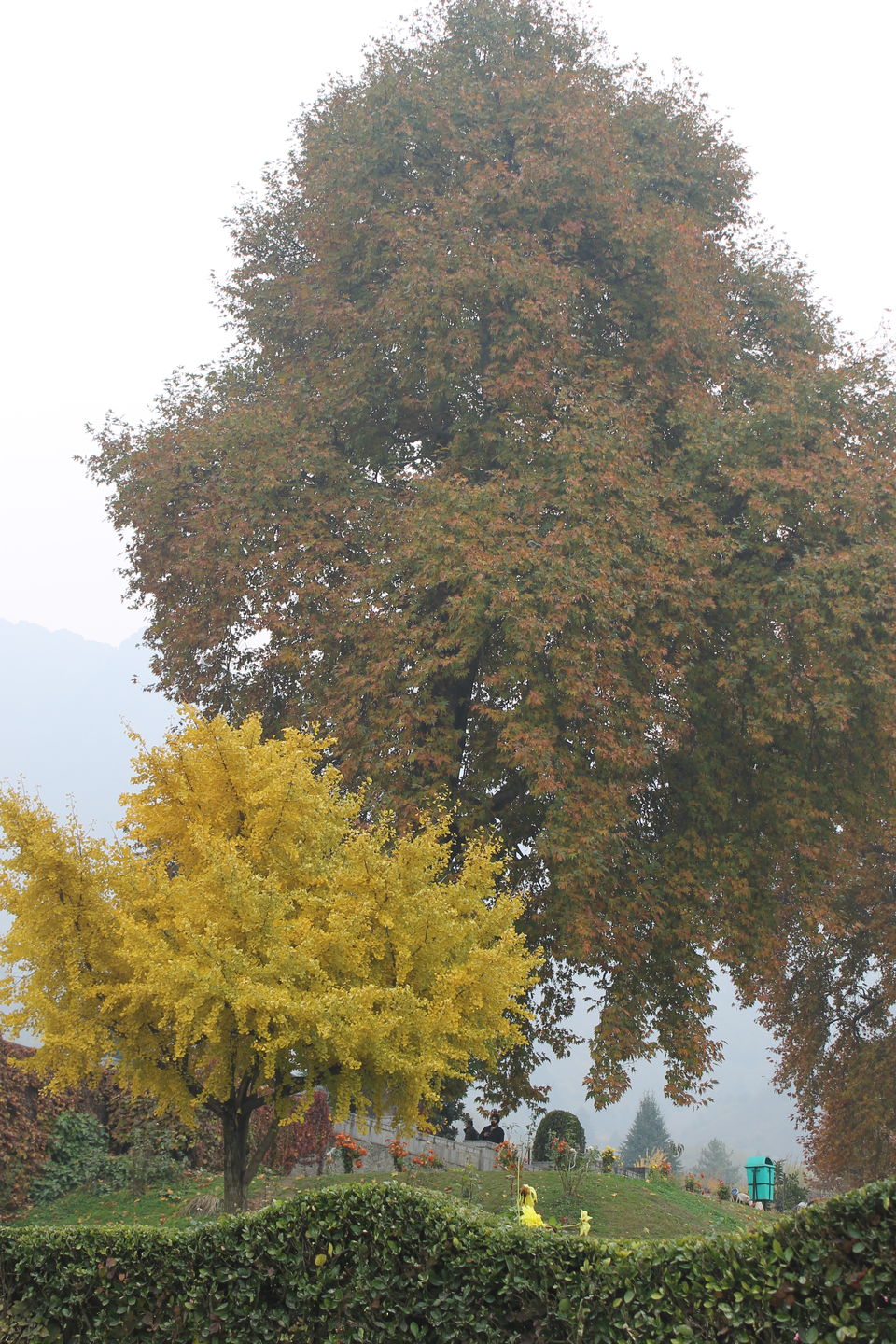Photo of Srinagar – The City That Stole My Heart 4/12 by Swetha Rajagopal Anand
