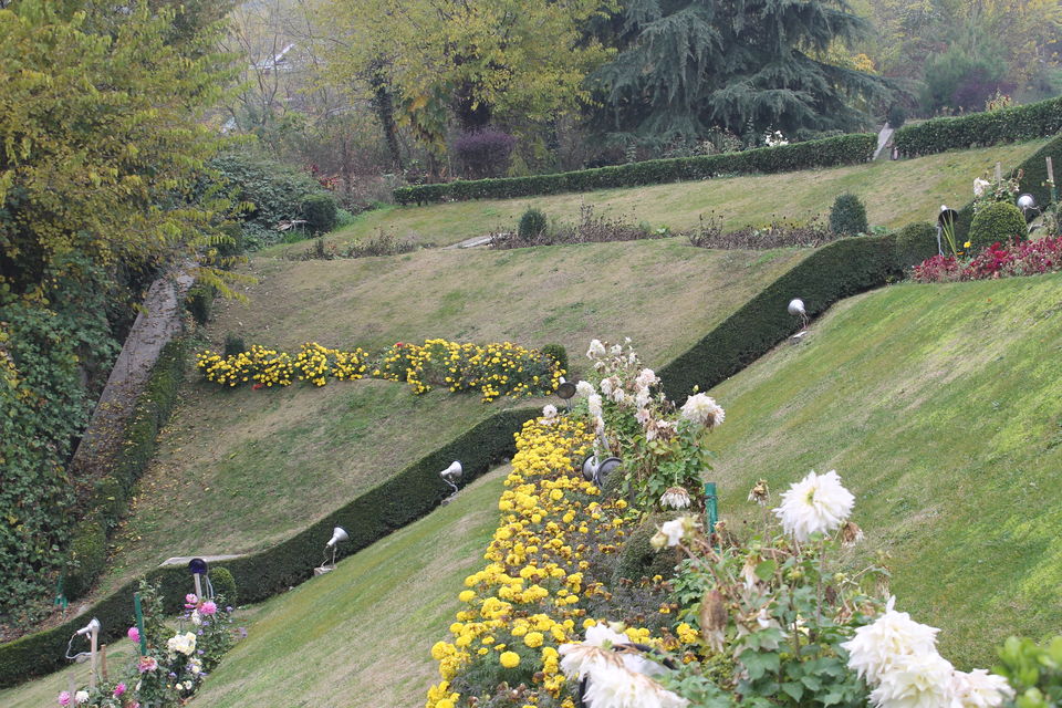 Photo of Srinagar – The City That Stole My Heart 5/12 by Swetha Rajagopal Anand