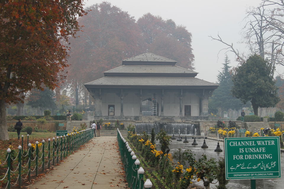 Photo of Srinagar – The City That Stole My Heart 9/12 by Swetha Rajagopal Anand