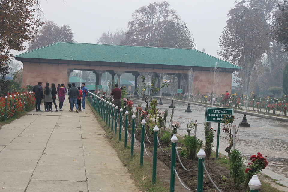 Photo of Srinagar – The City That Stole My Heart 10/12 by Swetha Rajagopal Anand