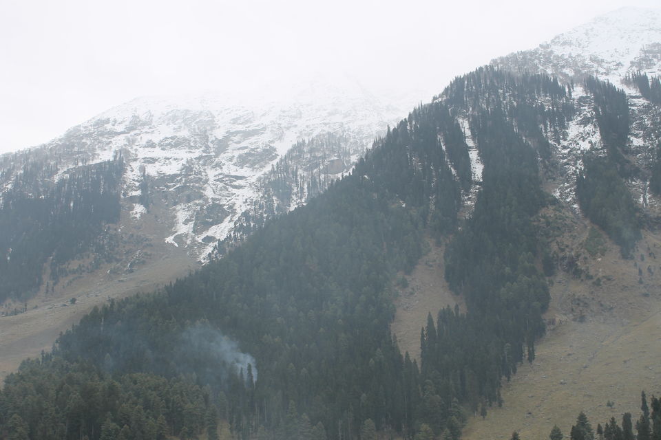 Photo of Pahalgam – Switzerland in Kashmir 12/23 by Swetha Rajagopal Anand