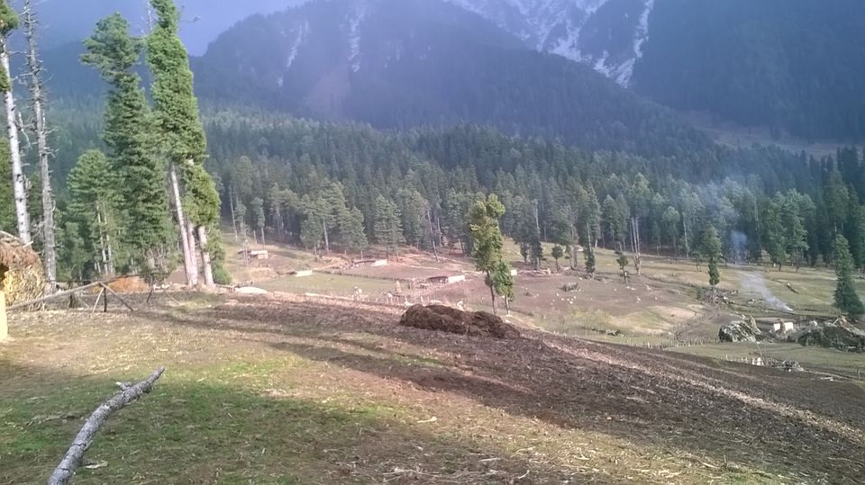 Photo of Pahalgam – Switzerland in Kashmir 13/23 by Swetha Rajagopal Anand