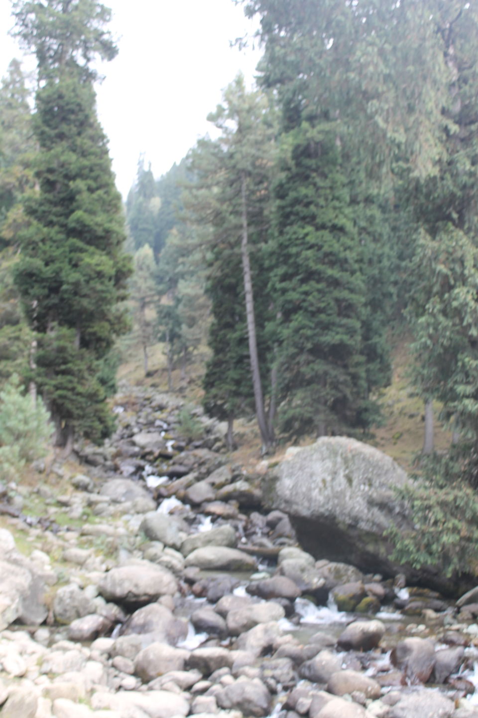 Photo of Pahalgam – Switzerland in Kashmir 15/23 by Swetha Rajagopal Anand