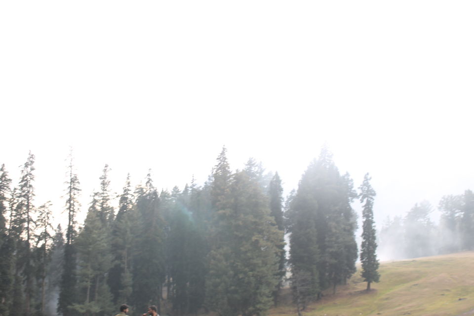 Photo of Pahalgam – Switzerland in Kashmir 21/23 by Swetha Rajagopal Anand