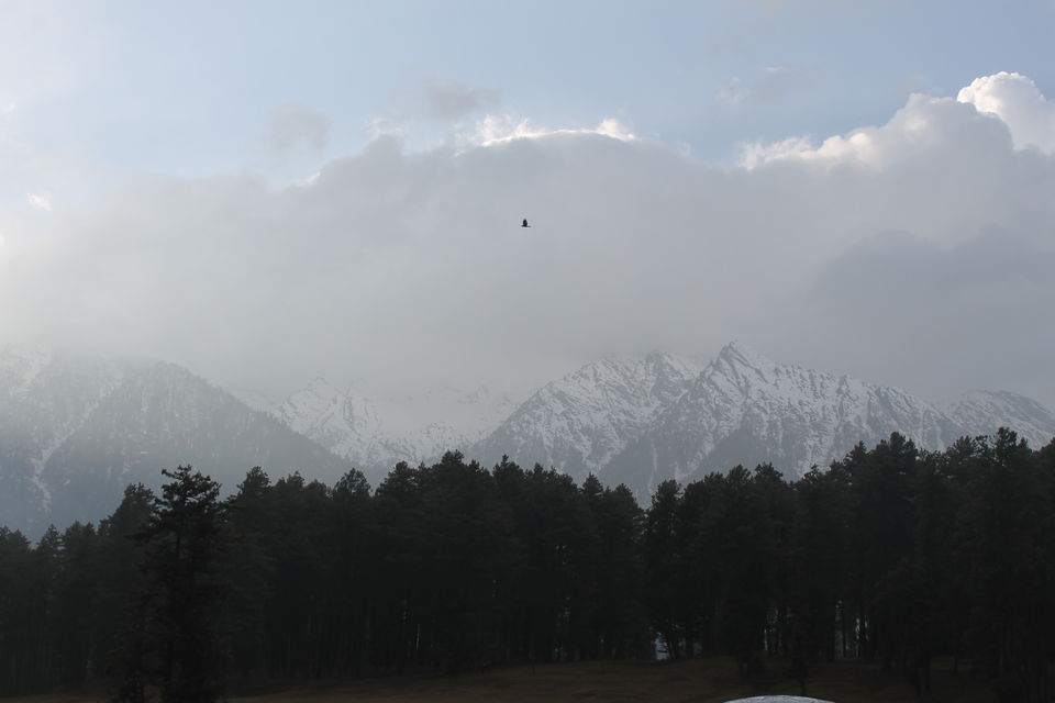 Photo of Pahalgam – Switzerland in Kashmir 22/23 by Swetha Rajagopal Anand