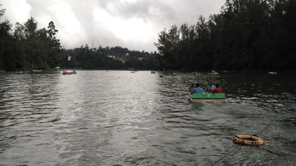 Photo of Amazing Ooty 3/18 by Anil