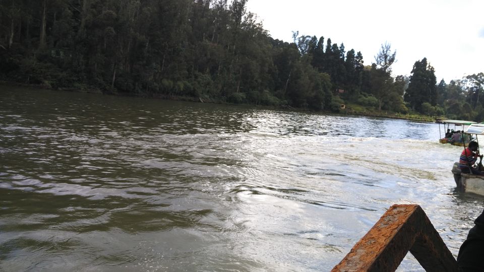 Photo of Amazing Ooty 4/18 by Anil