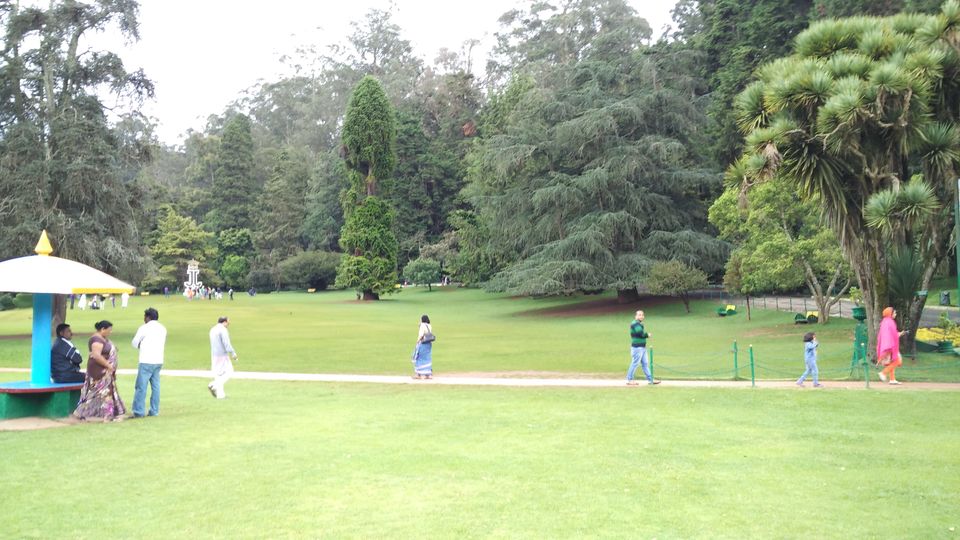 Photo of Amazing Ooty 6/18 by Anil