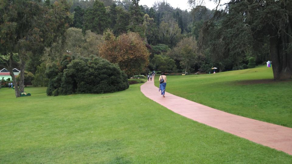 Photo of Amazing Ooty 7/18 by Anil