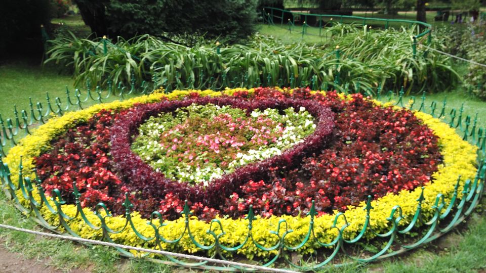 Photo of Amazing Ooty 8/18 by Anil