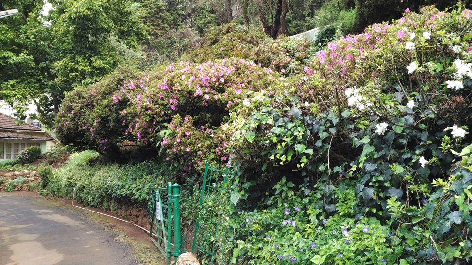 Photo of Amazing Ooty 9/18 by Anil