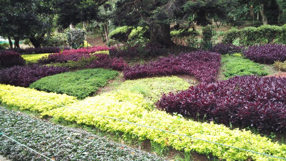 Photo of Amazing Ooty 10/18 by Anil