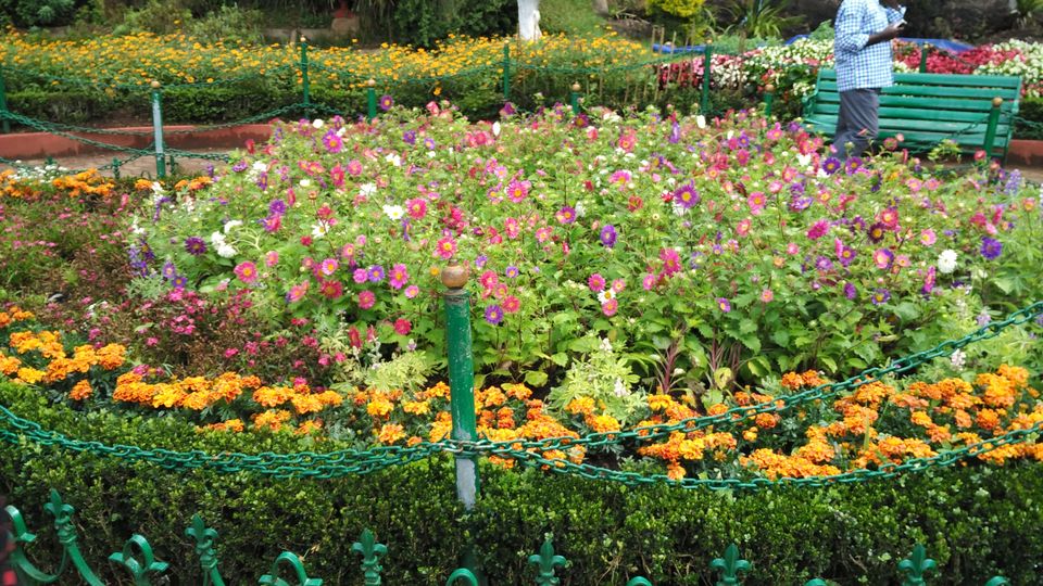 Photo of Amazing Ooty 13/18 by Anil