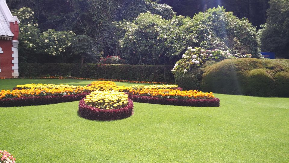 Photo of Amazing Ooty 15/18 by Anil