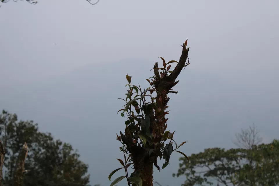 Photo of Jhandi Eco Hut by Pronay Saha