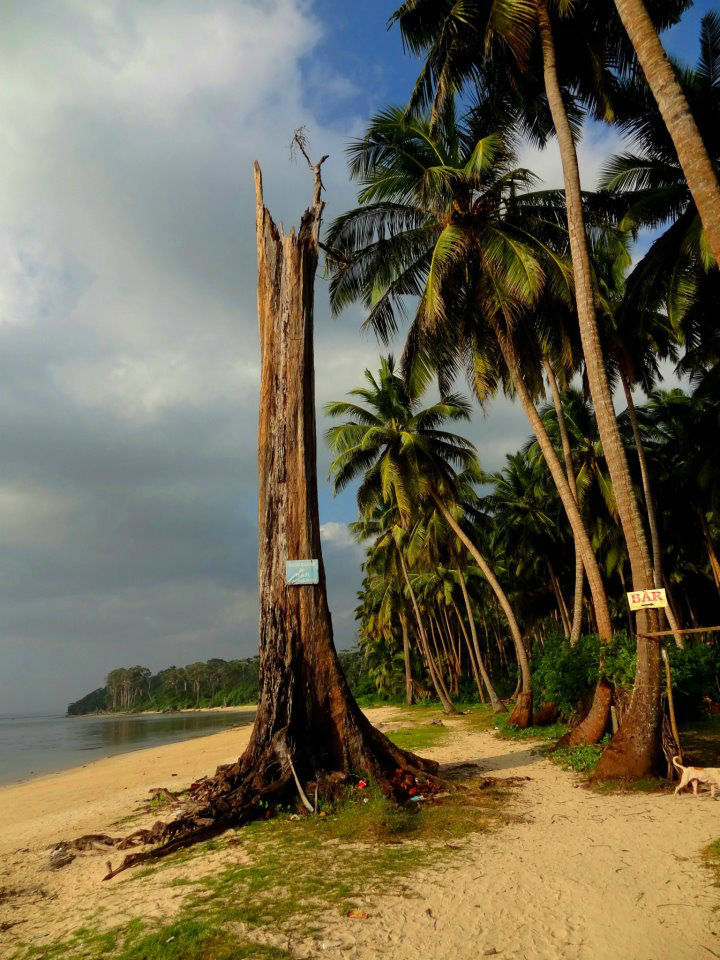 Photo of Amazing Andaman 1/24 by Debarshi