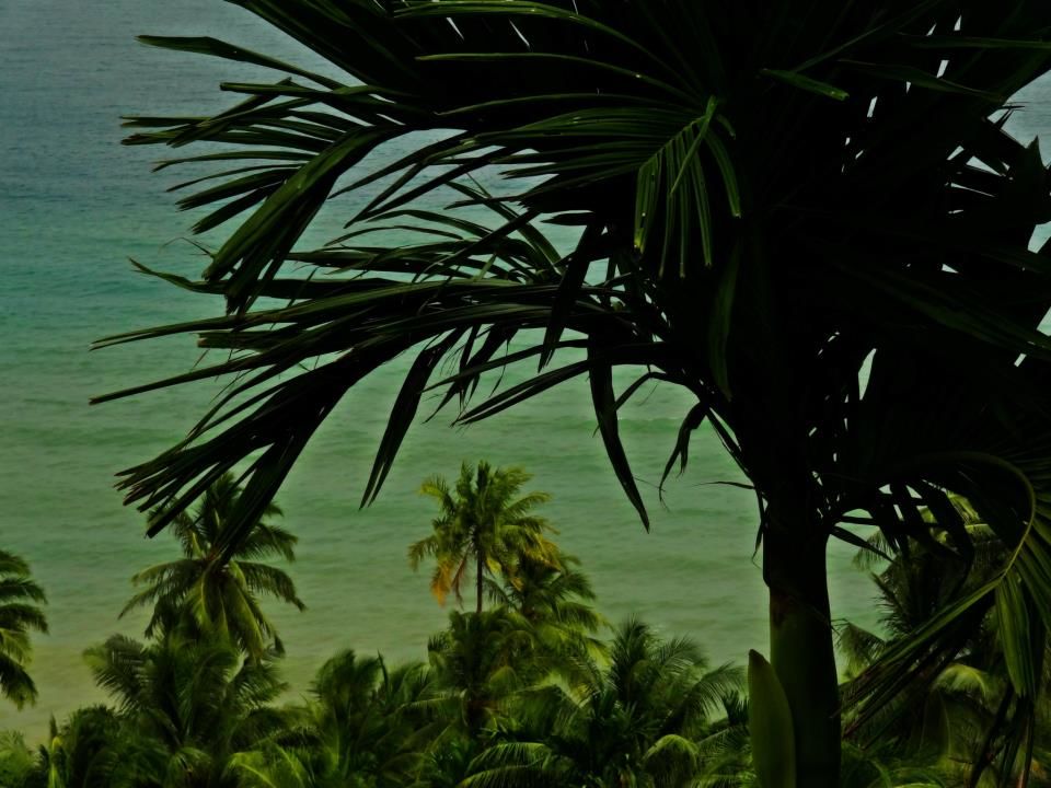 Photo of Amazing Andaman 6/24 by Debarshi