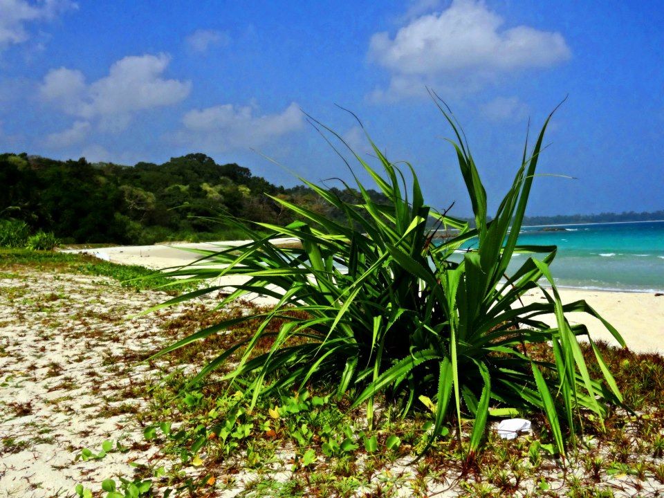 Photo of Amazing Andaman 8/24 by Debarshi