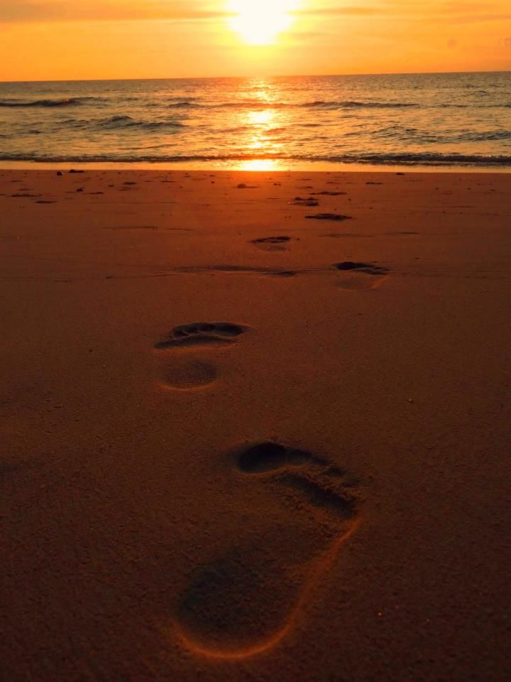 Photo of Amazing Andaman 9/24 by Debarshi