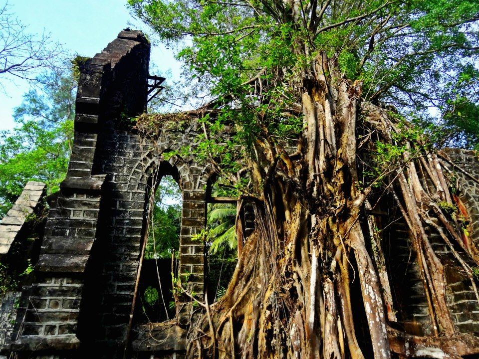 Photo of Amazing Andaman 15/24 by Debarshi